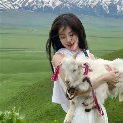 敌对同谋